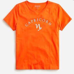 Broken-in jersey "Capricorn" T-shirt XL